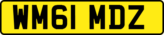 WM61MDZ