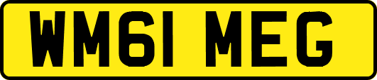 WM61MEG