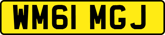 WM61MGJ