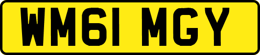 WM61MGY