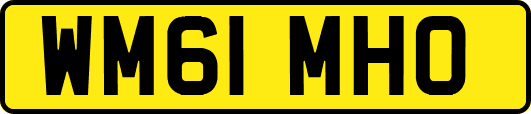 WM61MHO