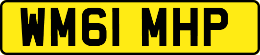 WM61MHP