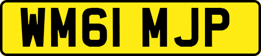 WM61MJP