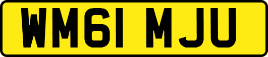 WM61MJU