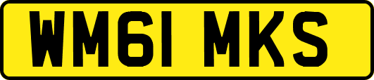 WM61MKS