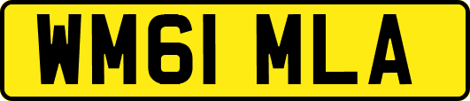 WM61MLA