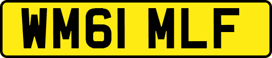 WM61MLF
