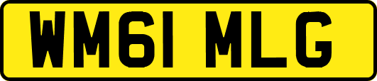 WM61MLG