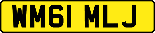WM61MLJ