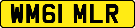 WM61MLR