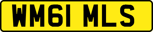 WM61MLS