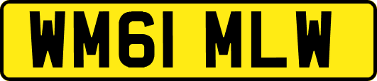 WM61MLW