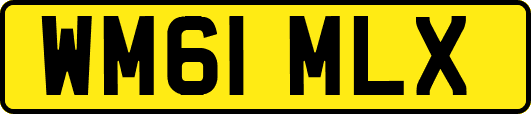 WM61MLX