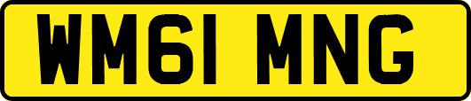 WM61MNG