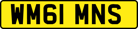 WM61MNS