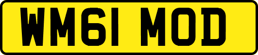 WM61MOD