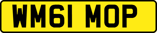 WM61MOP