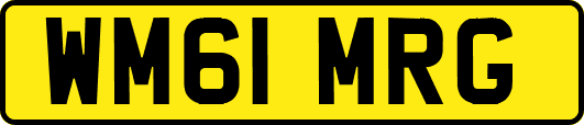 WM61MRG