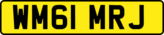 WM61MRJ