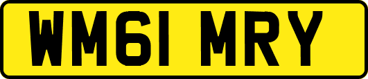 WM61MRY