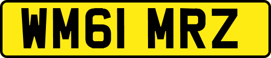 WM61MRZ