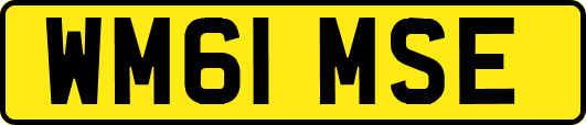 WM61MSE
