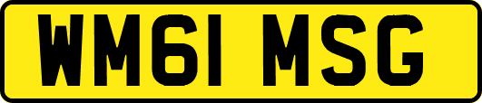 WM61MSG