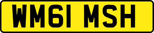 WM61MSH