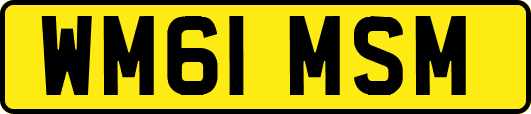 WM61MSM