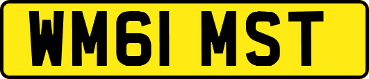 WM61MST