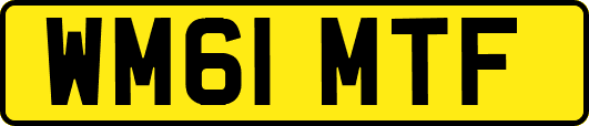 WM61MTF