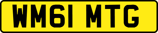 WM61MTG