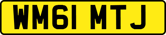WM61MTJ
