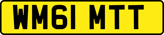 WM61MTT