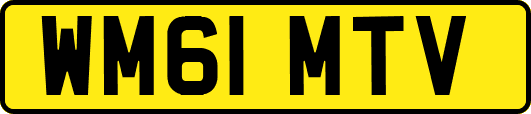 WM61MTV