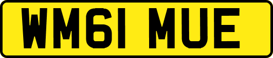 WM61MUE