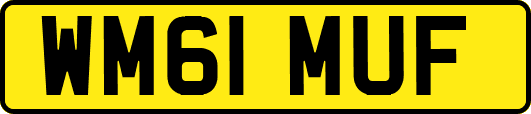 WM61MUF