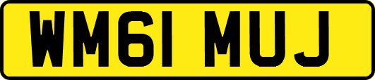 WM61MUJ