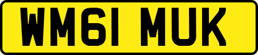WM61MUK
