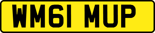 WM61MUP