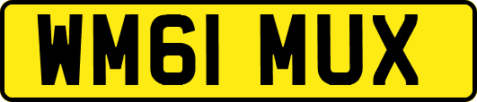 WM61MUX
