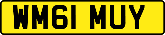 WM61MUY