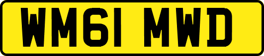 WM61MWD