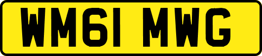 WM61MWG