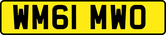 WM61MWO