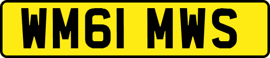 WM61MWS