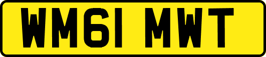 WM61MWT