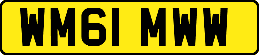 WM61MWW