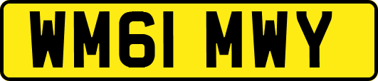 WM61MWY