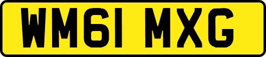 WM61MXG